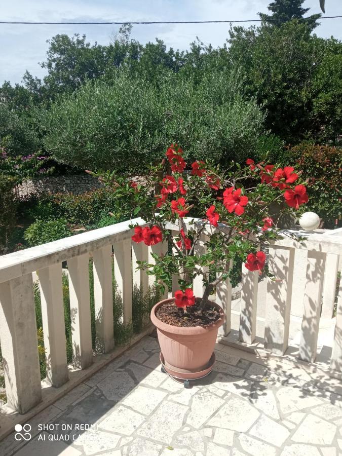 Apartman Hibiskus Бол Екстериор снимка