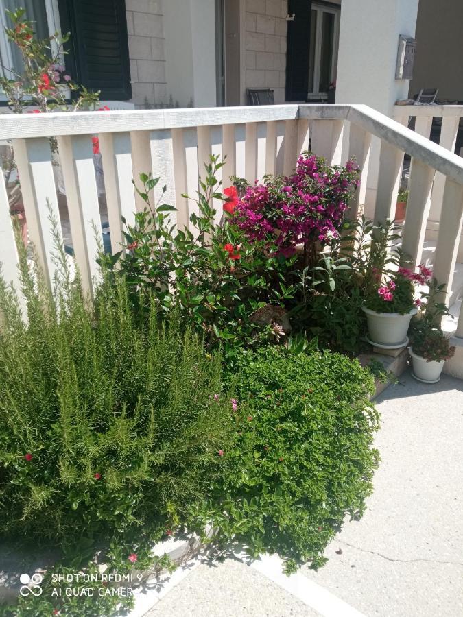 Apartman Hibiskus Бол Екстериор снимка