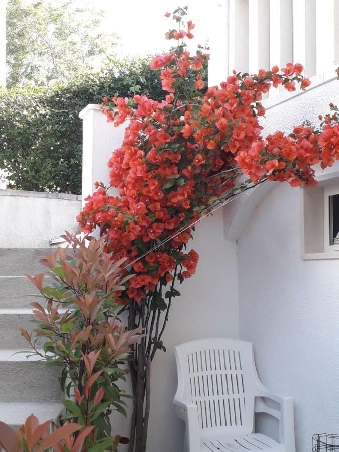 Apartman Hibiskus Бол Екстериор снимка